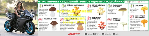 прущая мука Мегион