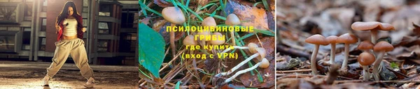 меф Струнино