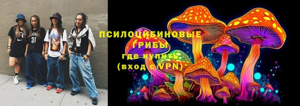 spice Строитель