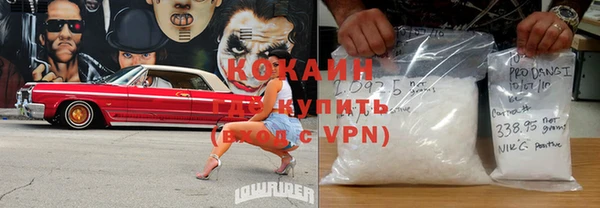 шишки Лысьва