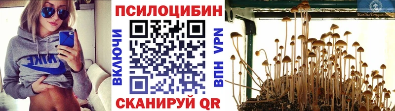 Галлюциногенные грибы мухоморы  Яблоновский 